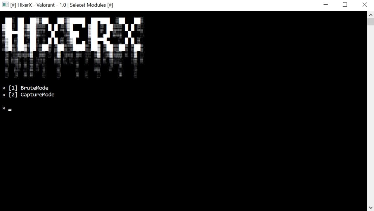 Valorant Checker by HixerX